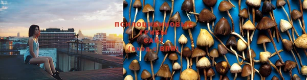 дурь Абдулино