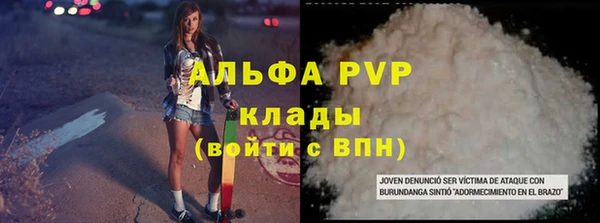 крисы Абаза
