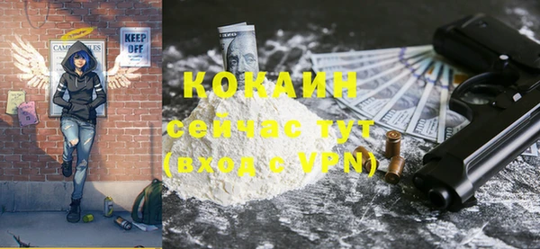 крисы Абаза
