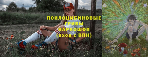 крисы Абаза