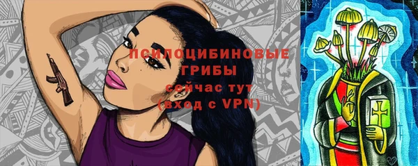 гидропоника Алексин