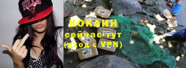 дживик Алзамай