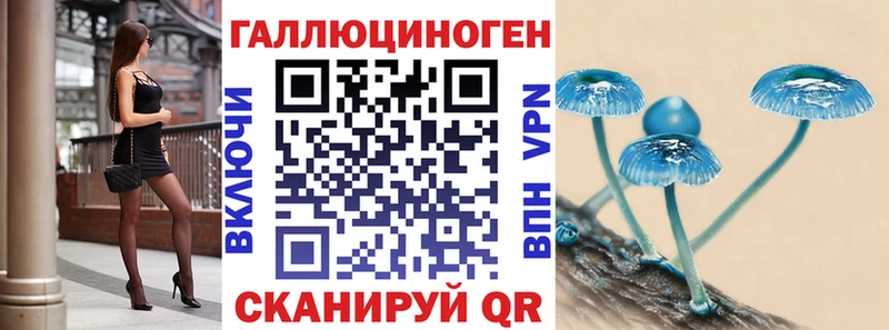 Галлюциногенные грибы Psilocybe  Новоалтайск 